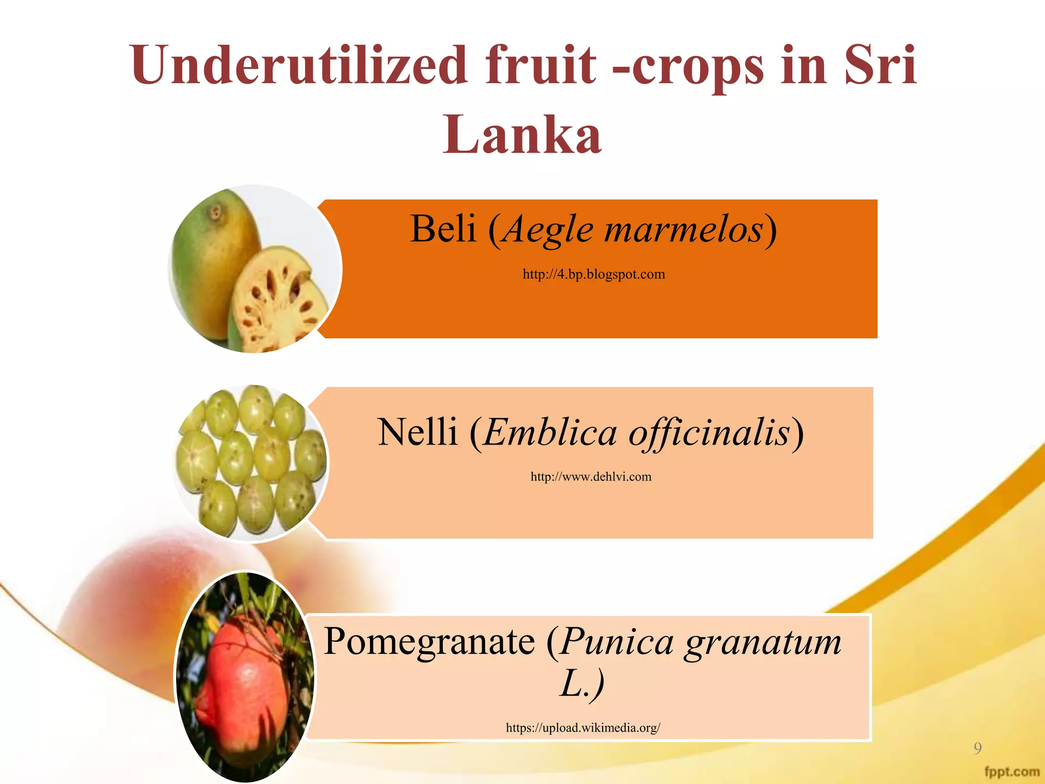 Underutilized fruit -crops in Sri
Lanka
Beli (Aegle marmelos)
http://4.bp.blogspot.com
Nelli (Emblica officinalis)
http://www.dehlvi.com
Pomegranate (Punica granatum
L.)
https://upload.wikimedia.org/
9
 