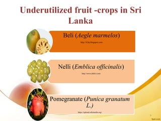 Underutilized fruit -crops in Sri
Lanka
Beli (Aegle marmelos)
http://4.bp.blogspot.com
Nelli (Emblica officinalis)
http://www.dehlvi.com
Pomegranate (Punica granatum
L.)
https://upload.wikimedia.org/
9
 