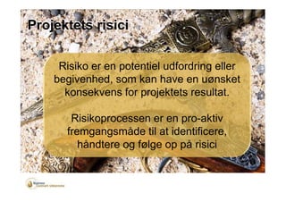 Projekat Rizik Primjer Undervisningsmateriale handout | PDF