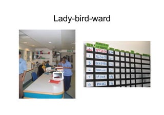 Lady-bird-ward
 