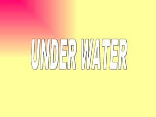 UNDER WATER 