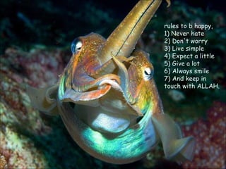 rules to b happy, 1) Never hate 2) Don't worry 3) Live simple 4) Expect a little 5) Give a lot 6) Always smile 7) And keep in touch with ALLAH. 