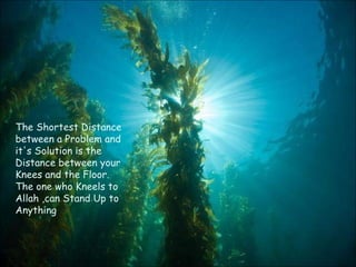 The Shortest Distance between a Problem and it's Solution is the Distance between your Knees and the Floor. The one who Kneels to Allah ,can Stand Up to Anything  