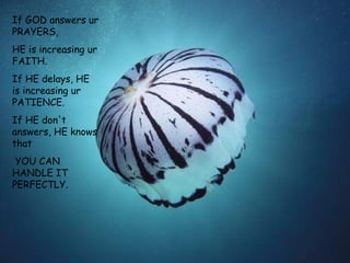 If GOD answers ur PRAYERS, HE is increasing ur FAITH. If HE delays, HE is increasing ur PATIENCE. If HE don't answers, HE knows that YOU CAN HANDLE IT PERFECTLY.  