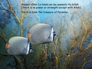 Repeat often ‘La hawla wa laa quwwata illa billah (there is no power or strength except with Allah)’, for it is from the treasure of Paradise. 