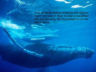 Lets establish among ourselves and obey by heart the laws of Allah to lead a disciplined life and lets pray for the prosperity of the whole world.  