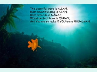 The beautiful word is ALLAH, Most beautiful song is AZAN, Best exercise is NAMAZ,  World perfect book is QURAN, And You are so lucky if YOU are a MUSALMAN. 