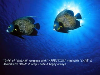 "Gift" of "SALAM"-wrapped with "AFFECTION" tied with "CARE" & sealed with "DUA" 2 keep u safe & happy always.  