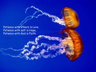 Patience with others is Love,  Patience with self is Hope,  Patience with God is Faith. 