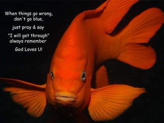 When things go wrong, don't go blue, just pray & say  "I will get through" always remember  God Loves U! 