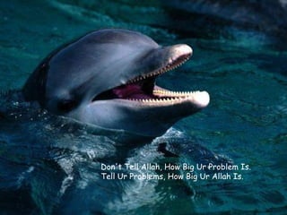 Don't Tell Allah, How Big Ur Problem Is. Tell Ur Problems, How Big Ur Allah Is. 