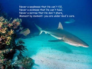 Never a weakness that He can't fill,  Never a sickness that He can't heal,  Never a sorrow that He don't share, Moment by moment- you are under God's care. 