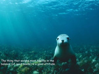 The thing that weighs most heavily in the balance (of good deeds) is a good attitude. 