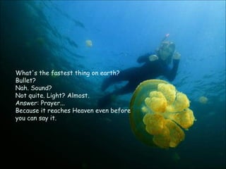 What's the fastest thing on earth?  Bullet?  Nah. Sound?  Not quite. Light? Almost. Answer: Prayer... Because it reaches Heaven even before you can say it.  
