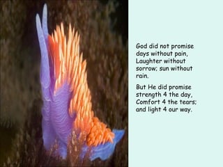God did not promise days without pain, Laughter without sorrow; sun without rain. But He did promise strength 4 the day, Comfort 4 the tears; and light 4 our way. 