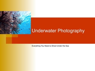 Underwater Photography


Everything You Need to Shoot Under the Sea
 