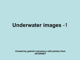 Underwater images  -1 Created by gabriel voiculescu with photos from INTERNET 