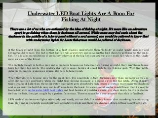 Underwater LED Boat Lights Are A Boon For
Fishing At Night
There are a lot of us who are enthused by the idea of fishing at night. It’s more like an adventure
sport to go fishing when there is darkness all around. While some may feel eerie about the
darkness in the middle of a lake or pond without a soul around, one would be relieved to know that
with underwater lights for boats fishermen would be relieved of darkness.
If the beam of light from the bottom of a boat reaches underwater then visibility at night would increase and
fishing would be easy. The fact is that big fish will always try and move up the food chain by gobbling up the small
fish. This is also an exhibition of predatory behavior of the big fish overpowering the small fish which is the jungle
rule; survival of the fittest.
The big fish though is both a prey and a predator because as fishermen go fishing at night, they don’t have to use
baits for their big catch. The underwater lights cause hordes of small fish to the fishing spot. With the lights
submersed, marine organisms swarm like bees to honeycomb.
When they do, they become prey for the small fish. The small fish in turn, turn into prey from predator as they go
after the bait fish and that’s when the night time fishing escapade is a success with the big catch. Often at night
time streams of light from the underwater boat lights gets absorbed which causes a certain reaction in zooplankton
and as a result the bait fish may cut itself loose from the hook. An experienced angler would know that it’s easy to
locate bait with underwater LED boat lights and feed hordes of predators waiting to chow down. As the predators
feed on the bait, they get caught by a patient fisherman. There may not be a way smarter than this to find bait.
LED enabled underwater lights effectively and easily attract fish. It’s widely known that wavelengths emanating
from blue and green lights specifically are attractive for fish and therefore chances of fish getting caught are high.
 