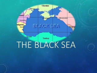 THE BLACK SEA
 