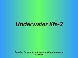 Underwater life-2 Creating by gabriel voiculescu with photos from INTERNET 