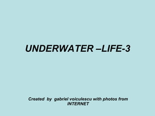 UNDERWATER –LIFE-3 Created  by  gabriel voiculescu with photos from INTERNET 