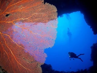 Underwater Photo Gallery: Andrey Shpatak