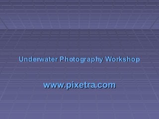 Underwater Photography WorkshopUnderwater Photography Workshop
www.pixetra.comwww.pixetra.com
 
