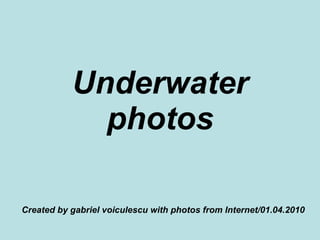 Underwater photos Created by gabriel voiculescu with photos from Internet/01.04.2010 