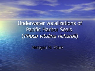 Underwater vocalizations of Pacific Harbor Seals  ( Phoca vitulina richardii ) Mehgan M. Clark 