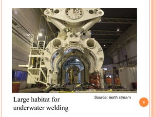 Source: north stream
Large habitat for                           8

underwater welding
 