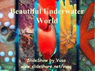 Beautiful Underwater World SlideShow by Vusa www.slideshare.net/vusa 