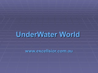 UnderWater  World   www.excellsior.com.au 