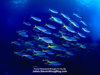 Funny Powerpoint Brought To You By Jokes.StevenWongBlog.com 