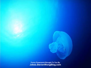 Funny Powerpoint Brought To You By Jokes.StevenWongBlog.com 