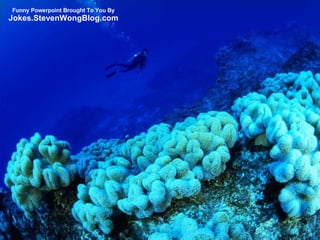 Funny Powerpoint Brought To You By Jokes.StevenWongBlog.com 