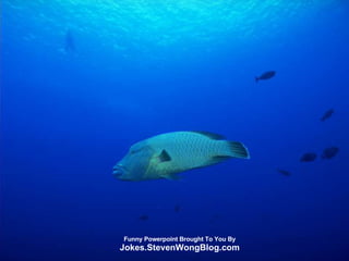 Funny Powerpoint Brought To You By Jokes.StevenWongBlog.com 