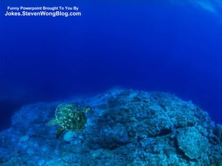 Funny Powerpoint Brought To You By Jokes.StevenWongBlog.com 