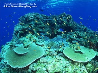 Funny Powerpoint Brought To You By Jokes.StevenWongBlog.com 