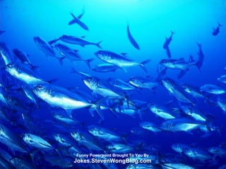 Funny Powerpoint Brought To You By Jokes.StevenWongBlog.com 