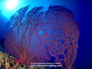 Funny Powerpoint Brought To You By Jokes.StevenWongBlog.com 