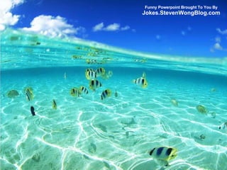 Funny Powerpoint Brought To You By Jokes.StevenWongBlog.com 