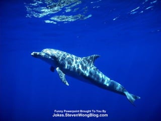 Funny Powerpoint Brought To You By Jokes.StevenWongBlog.com 