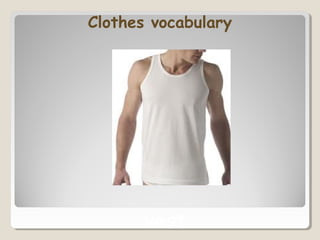 Clothes vocabulary
vest