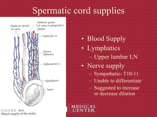 Spermatic cord supplies
• Blood Supply
• Lymphatics
– Upper lumbar LN
• Nerve supply
– Sympathetic- T10-11
– Unable to differentiate
– Suggested to increase
or decrease dilation
 
