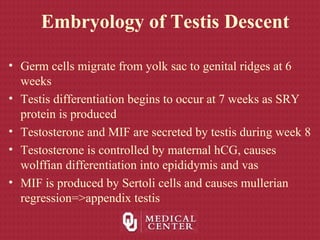 Embryology of Testis Descent
• Germ cells migrate from yolk sac to genital ridges at 6
weeks
• Testis differentiation begins to occur at 7 weeks as SRY
protein is produced
• Testosterone and MIF are secreted by testis during week 8
• Testosterone is controlled by maternal hCG, causes
wolffian differentiation into epididymis and vas
• MIF is produced by Sertoli cells and causes mullerian
regression=>appendix testis
 