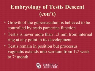 Embryology of Testis Descent
(con’t)
• Growth of the gubernaculum is believed to be
controlled by testis paracrine function
• Testis is never more than 1.3 mm from internal
ring at any point in its development
• Testis remain in position but processus
vaginalis extends into scrotum from 12th
week
to 7th
month
 