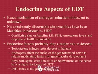 Endocrine Aspects of UDT
• Exact mechanism of androgen induction of descent is
unknown
• No consistently discernable abnormalities have been
identified in patients w/ UDT
– Conflicting data on baseline LH, FSH, testosterone levels and
response to GnRH stimulation
• Endocrine factors probably play a major role in descent
– Testosterone induces testis descent in humans
– Androgens affect the nuclei of the genitofemoral nerve to
release modulating factors for gubernacular development
– Boys with spinal cord defects at or below nuclei of the nerve
have a higher incidence of UDT
– DHT binds to rat gubernaculum
 