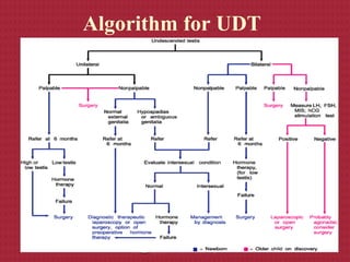 Algorithm for UDT
 