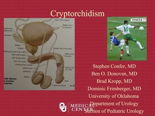 Cryptorchidism
Stephen Confer, MD
Ben O. Donovan, MD
Brad Kropp, MD
Dominic Frimberger, MD
University of Oklahoma
Department of Urology
Section of Pediatric Urology
 