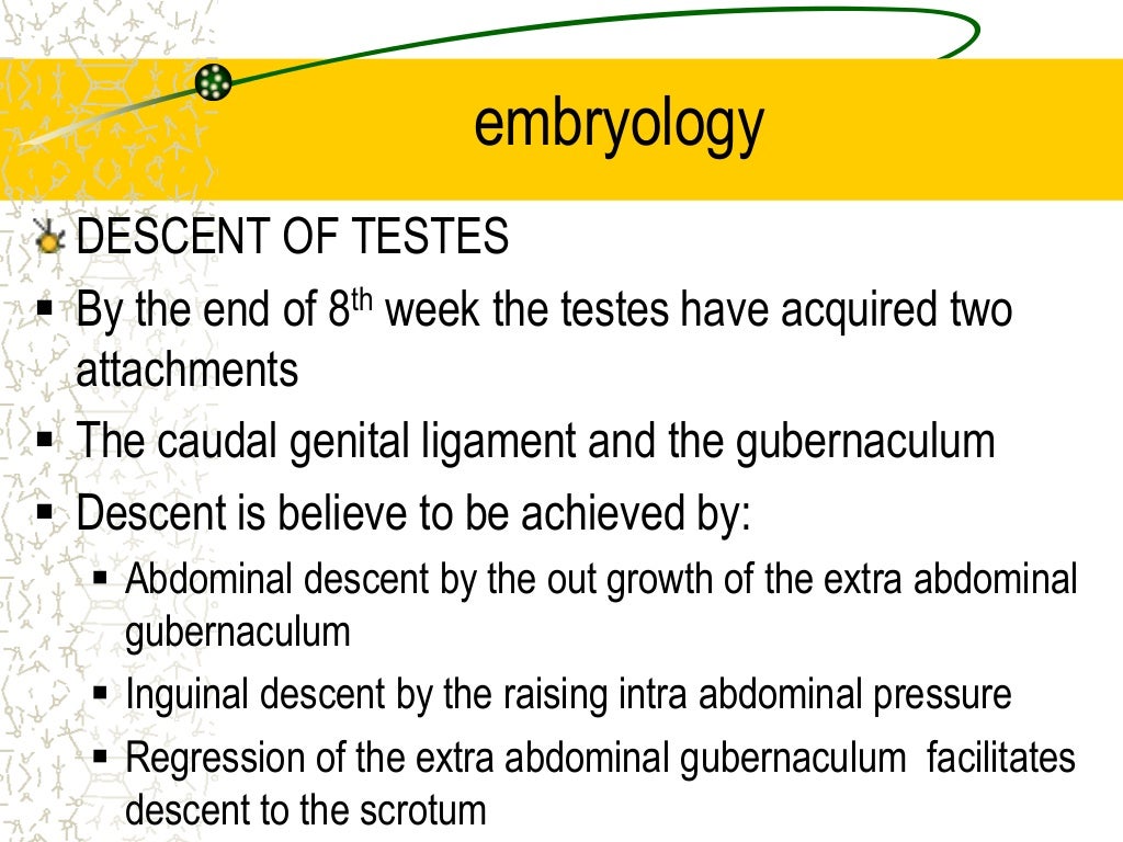 evaluation of Undescended testes